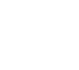 Orleans Loiret Basket Logo